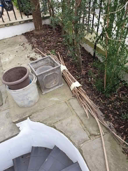 Photo of free Revised: Garden canes, buckets (Kensington W8) #1