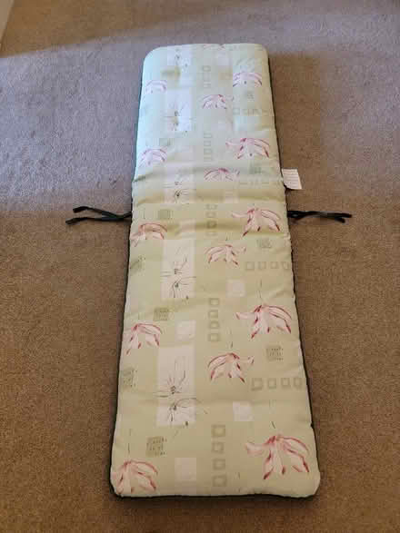 Photo of free Sunlounge cushion (Helensburgh G84) #1