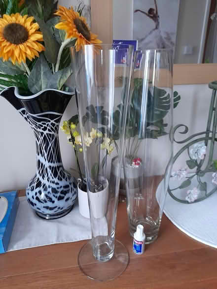 Photo of free Vases/ Flutes (St. Albans) #1