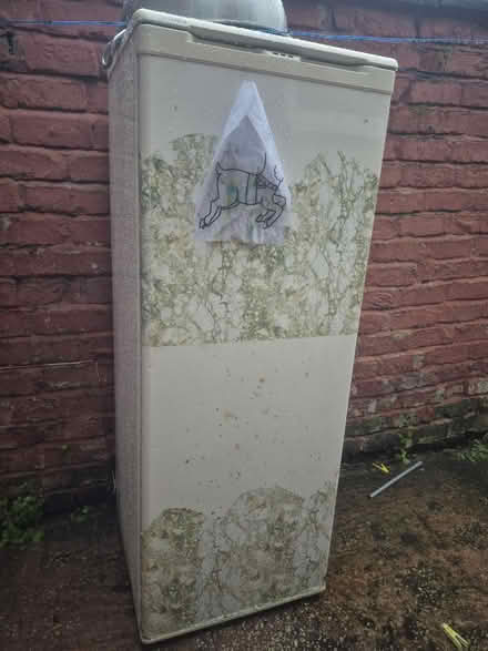 Photo of free Freezer (Salford M6) #1