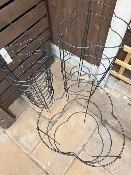 Photo of free Plant Supports (Basildon SS14) #1