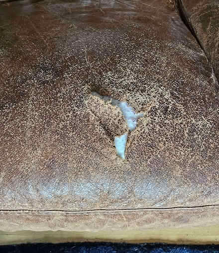 Photo of free Natuzzi Italian leather couch (Broadview) #2