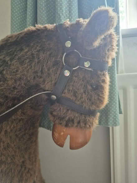Photo of free Brandy the rocking horse (Little Salkeld CA10) #4