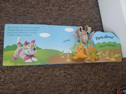 Photo of free Baby books (Wendover HP22) #2