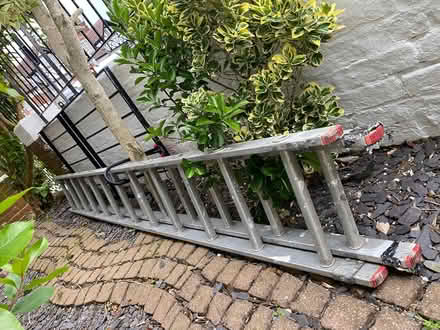 Photo of free Extendable ladder (Seven Dials BN3) #1