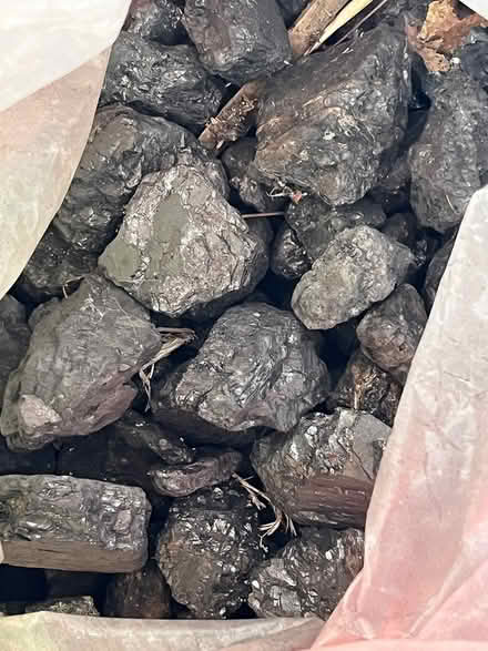 Photo of free Coal (Shirley, Croydon) #1