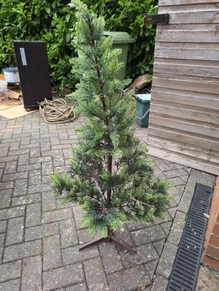 Photo of free Small vintage Christmas tree (Woodmancote) #1