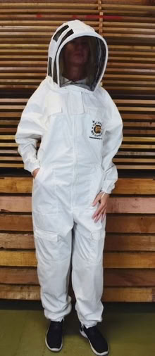 Photo of Wasp Nest - Bee keeping suit (needed asap) (Alcester Lanes End B14) #1