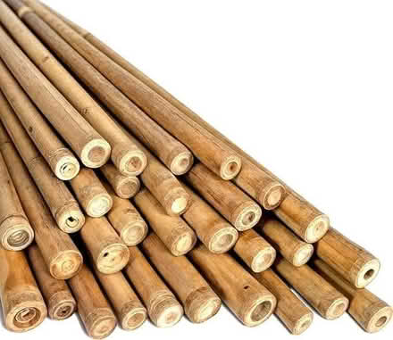 Photo of Bamboo garden poles (Moseley B13) #1