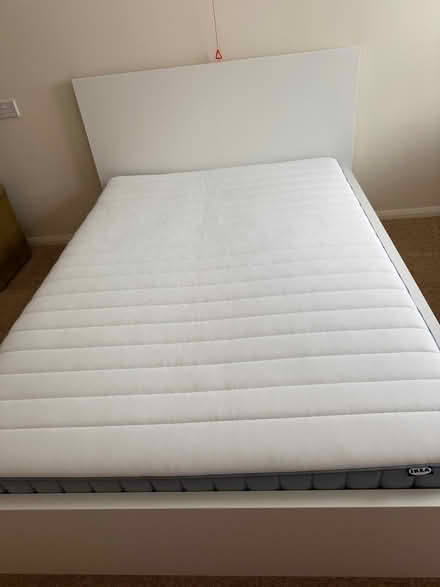 Photo of free Double bed (Moulsham CM2) #1