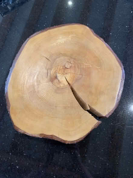 Photo of free Wood trunk disk (Whittlesford CB22) #1
