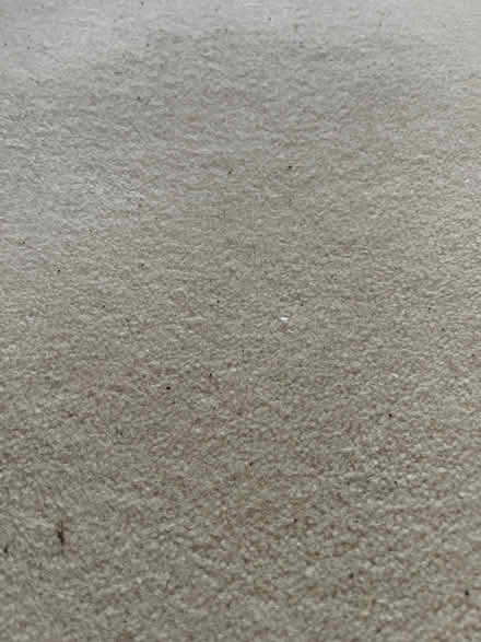 Photo of free Carpet (Kentwood RG30) #1