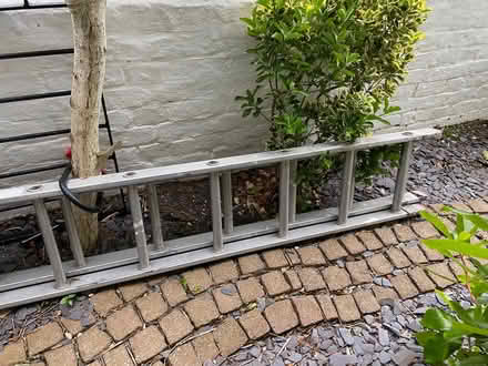 Photo of free Extendable ladder (Seven Dials BN3) #2