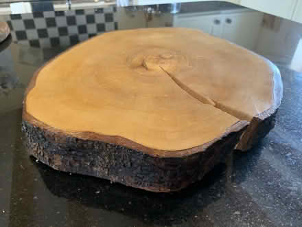 Photo of free Wood trunk disk (Whittlesford CB22) #2