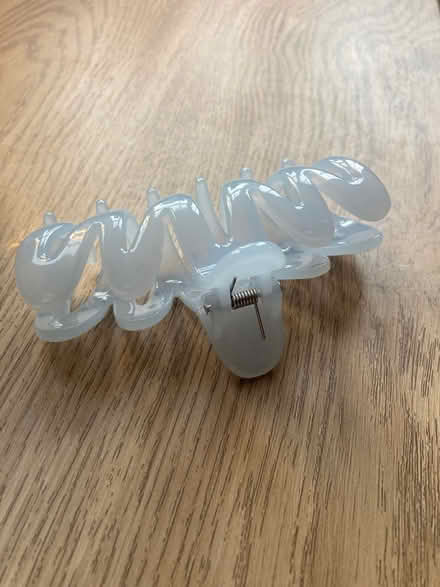 Photo of free Hair clip (TN35 Ore) #1