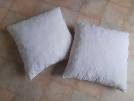 Photo of free Cushion inners (Roseburn EH12) #1