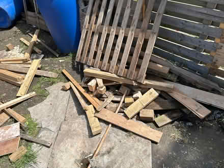 Photo of free Firewood (Firth Park S5) #1