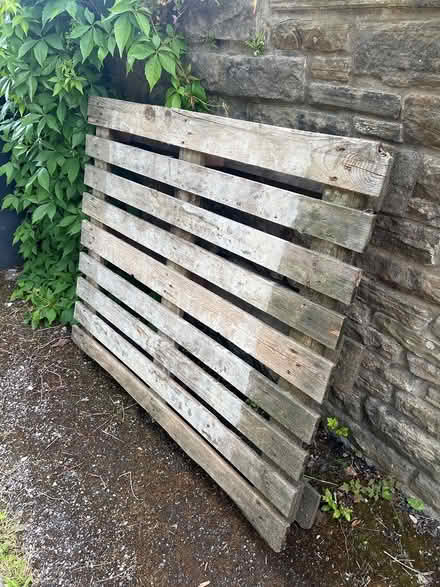Photo of free Old pallet (Broomhill S10) #1
