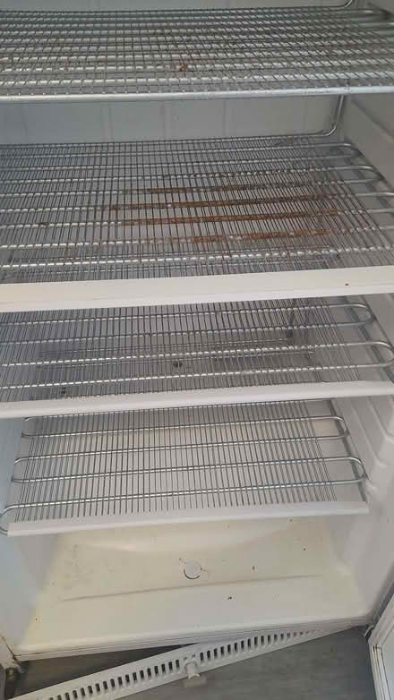 Photo of free Freezer (Newington EH9) #1