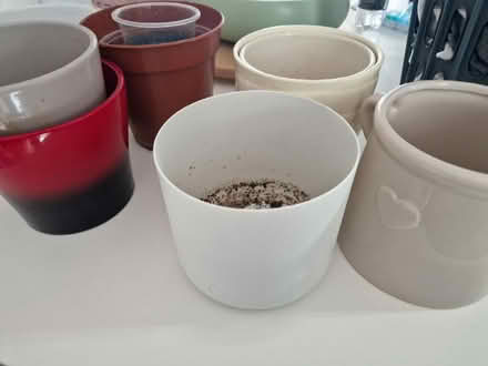 Photo of free Plant pots (ME7) #1