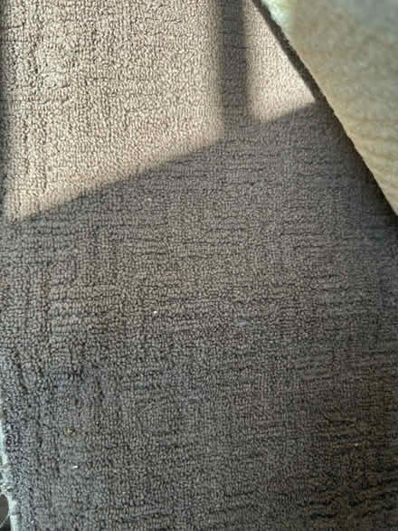 Photo of free Carpets & underlay (Isleworth TW7) #4