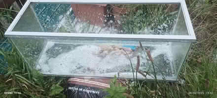Photo of free Aquarium (Bidston Hill CH41) #2