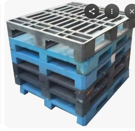 Photo of Plastic pallets (Manchester M19) #1