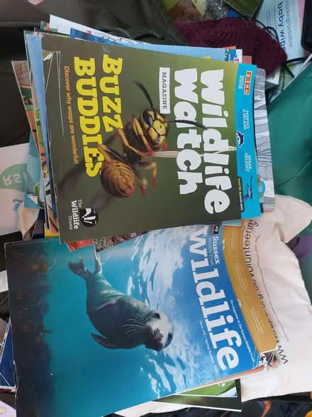 Photo of free Children's magazines colouring books (Keymer BN6) #1