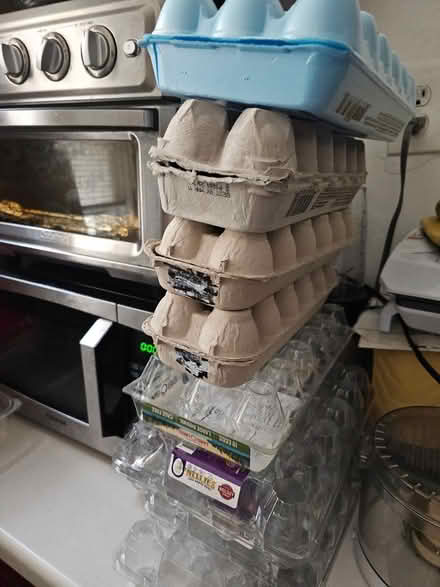 Photo of free Egg Cartons (Sunnyside 48th Street) #1