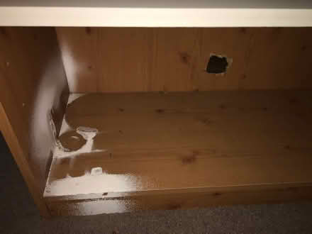 Photo of free Set of shelves for a garden shed or garage (Portslade Village BN41) #3