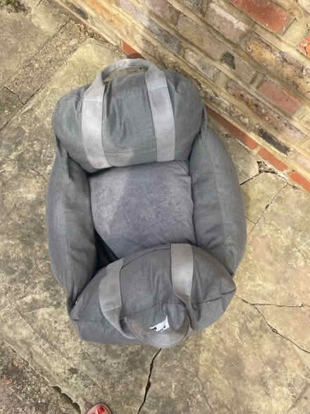 Photo of free Median dog bed (W10) #3