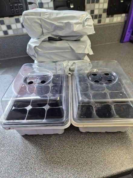 Photo of free Small seed trays with lids (Benfield Valley BN41) #1