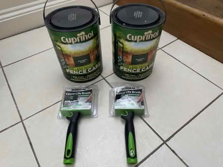 Photo of free Fence paint woodland green (Palmer Park RG1) #1