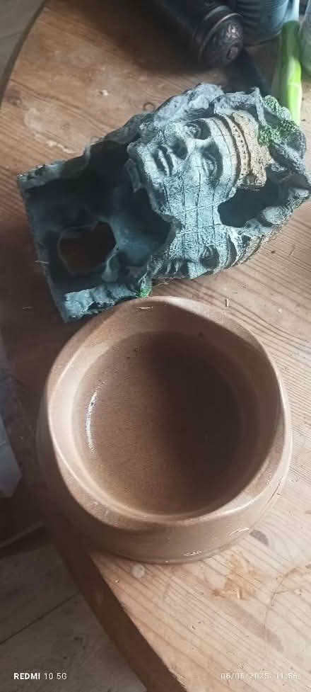 Photo of free Aquarium (Bidston Hill CH41) #3