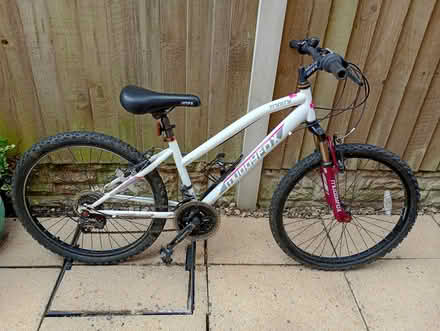Photo of free Mountain Bike Muddyfox 24 inch (Gwernymynydd CH7) #1