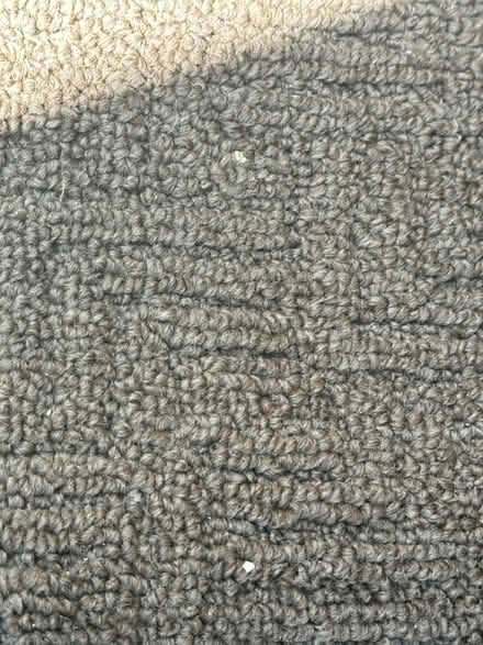 Photo of free Carpets & underlay (Isleworth TW7) #3