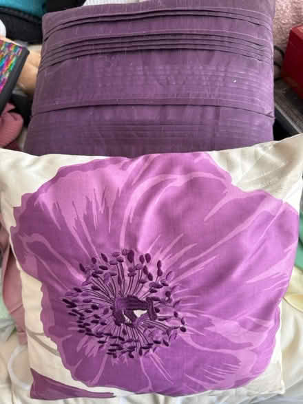 Photo of free Cushions (PO22 Bersted) #1
