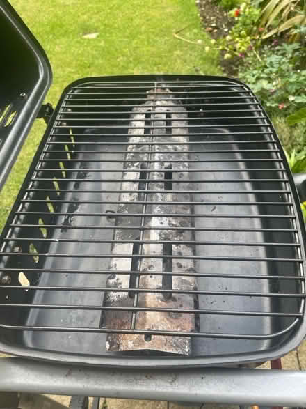 Photo of free Gas Bbq (Dollis Hill, NW2) #1
