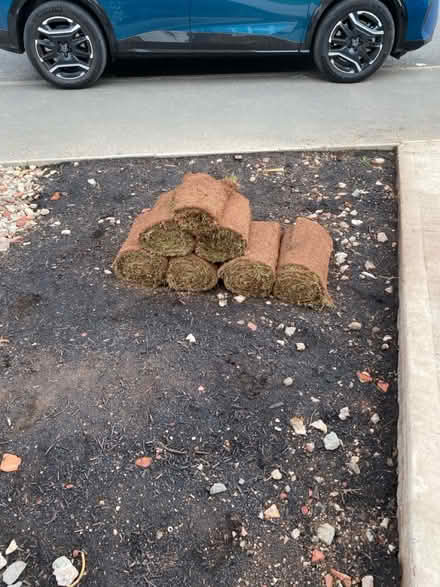 Photo of free Turf (Bromsgrove) #1