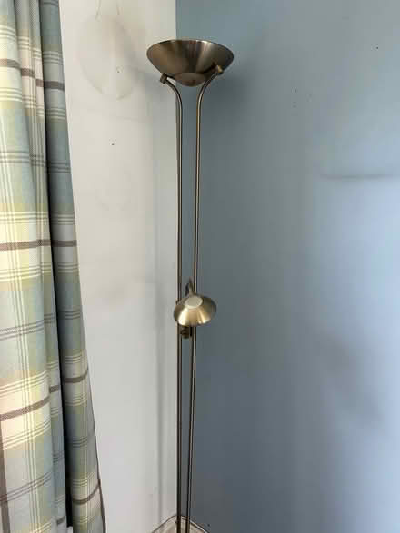 Photo of free Brass effect dimmable floor lamp (Epsom KT19) #3