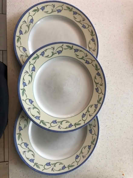 Photo of free 3 matching dinner plates (Lordswood ME5) #1