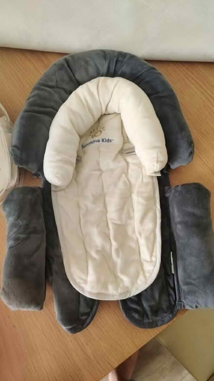 Photo of free Head and body support (Theale RG7) #2