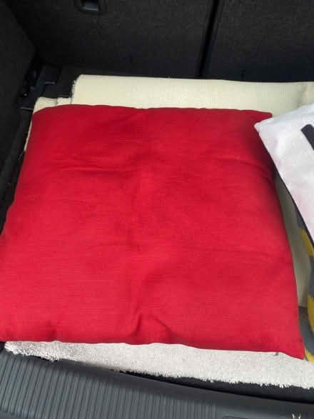 Photo of free Cushion (Levenshulme) #1
