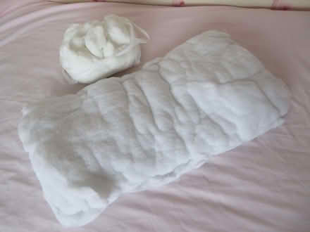 Photo of free Pillow Stuffing - clean (CO15) #1