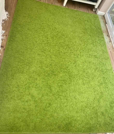 Photo of free Large green rug (Hatch Warren RG22) #1