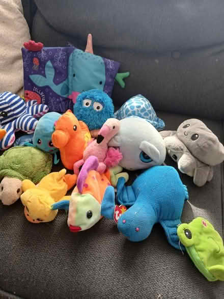 Photo of free Soft toys (Iver Heath SL00BZ) #1