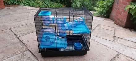 Photo of free Hamster Kit (Hertford SG14) #1