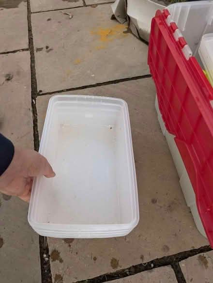 Photo of free Plastic Storage Boxes (Banwell BS29) #1