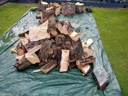 Photo of free Fire wood (PE24 5TU) #1