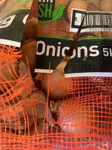 Photo of free Red and white onions (Coventry CV6) #1